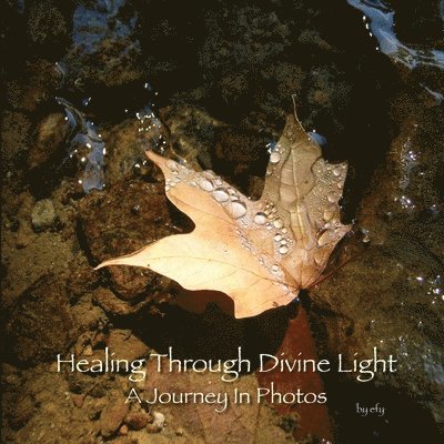 Healing Through Divine Light: A Journey In Photos 1