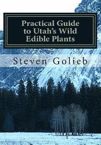 bokomslag Practical Guide to Utah's Wild Edible Plants: A Survival Handbook