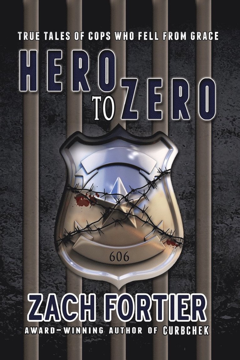 Hero To Zero 2nd Edition