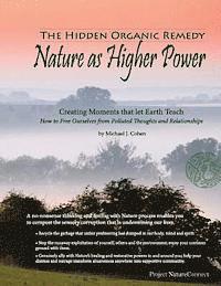 bokomslag The Hidden Organic Remedy: Nature As Higher Power: Creating Moments That Let Earth Teach