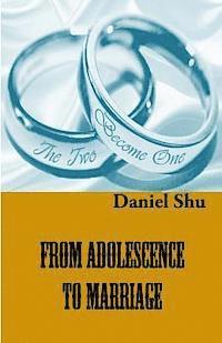 bokomslag From Adolescence To Marriage: Making the Right Choice of A Life Partner