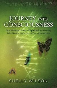 bokomslag Journey into Consciousness