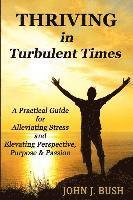 bokomslag Thriving in Turbulent Times: A Practical Guide for Alleviating Stress and Elevating Perspective, Purpose, & Passion