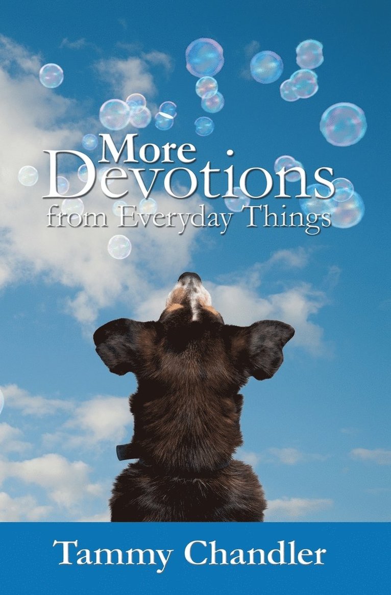 Tammy Chandler - More Devotions from Everyday Things, Häftad