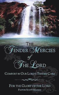 bokomslag The Tender Mercies of The Lord: Comfort in Our Lord's Tender Care