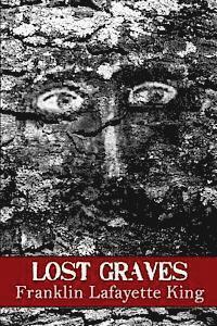 bokomslag Lost Graves
