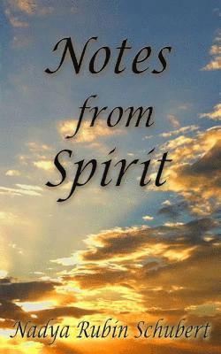 Notes from Spirit 1