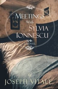 bokomslag Meetings With Sylvia Ionnescu