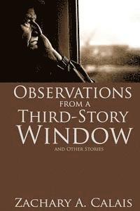 bokomslag Observations from a Third-Story Window: and Other Stories