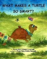 bokomslag What Makes A Turtle So Smart?