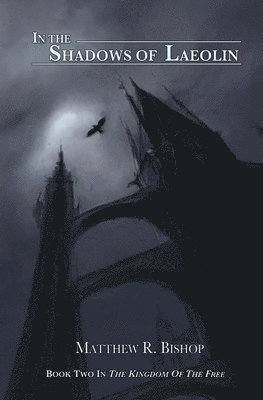 bokomslag In the Shadows of Laeolin