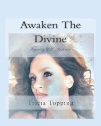 bokomslag Awaken The Divine: Exposing U.S. Andersen