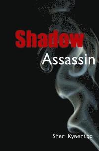 bokomslag Shadow Assassin