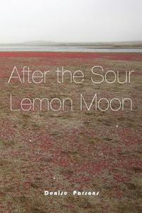 bokomslag After the Sour Lemon Moon