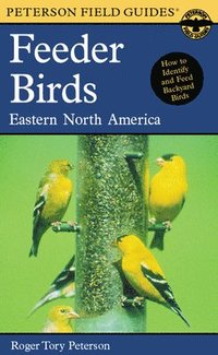 bokomslag A Field Guide to Feeder Birds, Eastern and Central North America