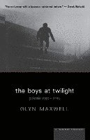 bokomslag The Boys at Twilight