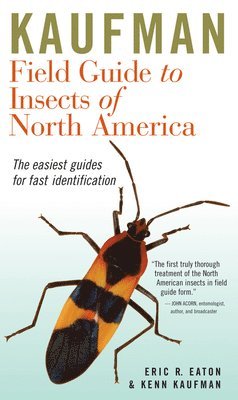 bokomslag Kaufman Field Guide to Insects of North America