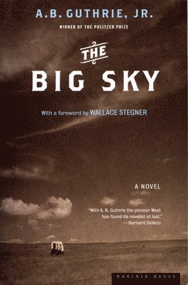 bokomslag Big Sky