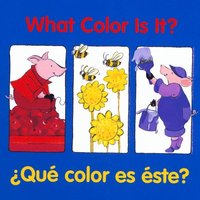 bokomslag What Color Is It?