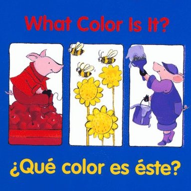 bokomslag What Color Is It? /  Que Color Es Este?