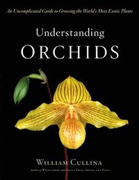 bokomslag Understanding Orchids