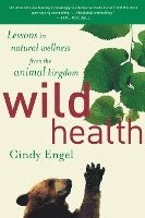 bokomslag Wild Health: How Animals Keep Themselves Will and What We Can Learn from Them