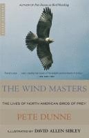 bokomslag The Wind Masters