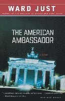 bokomslag The American Ambassador