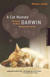bokomslag A Cat Named Darwin