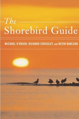 Michael O'Brien, Richard Crossley, Kevin T Karlson - The Shorebird Guide, Häftad
