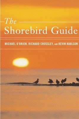 bokomslag The Shorebird Guide
