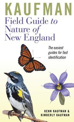 bokomslag Kaufman Field Guide to Nature of New England