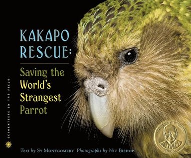 bokomslag Kakapo Rescue: Saving the World's Strangest Parrot