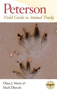 bokomslag Peterson Field Guide To Animal Tracks