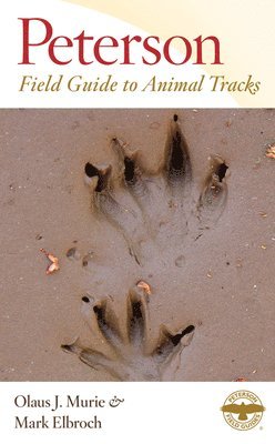 Peterson Field Guide To Animal Tracks 1