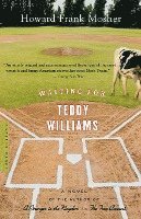 bokomslag Waiting for Teddy Williams