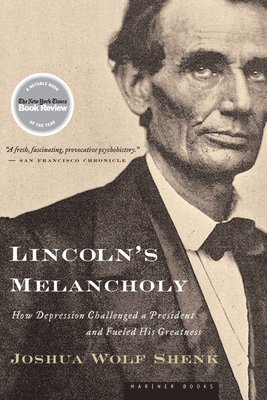 bokomslag Lincoln's Melancholy