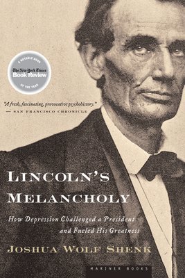 bokomslag Lincoln's Melancholy: How Depression Challenged a President and Fueled His Greatness