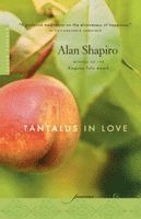 Alan Shapiro - Tantalus in Love, Häftad