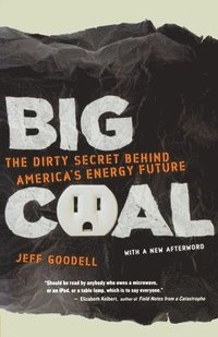 bokomslag Big Coal: The Dirty Secret Behind America's Energy Future