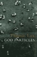 Thomas Lux - God Particles, Inbunden