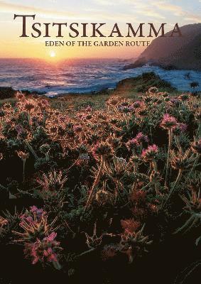 Tsitsikamma: Eden Of The Garden Route