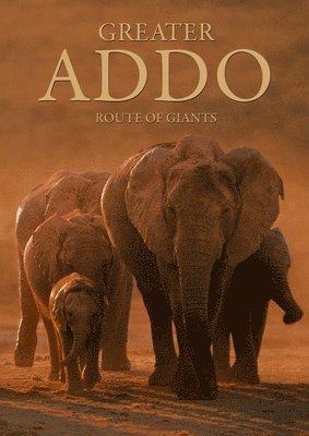 Greater Addo 1