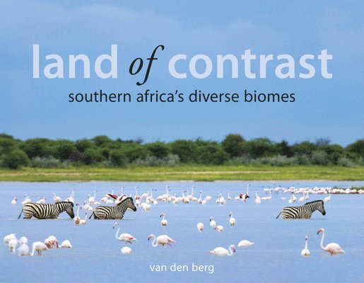 Land Of Contrast: Southern Africa's Diverse Biomes 1