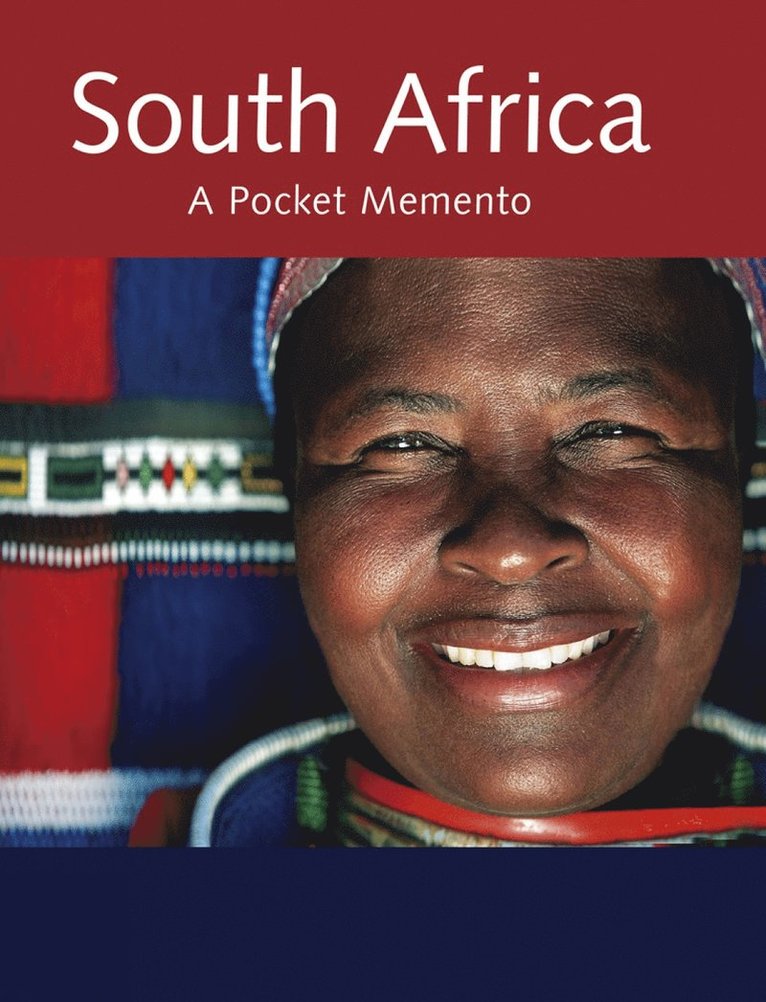 South Africa: The Big Picture