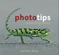 bokomslag Phototips: Composing Nature