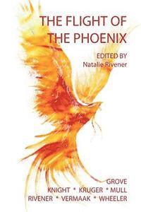 bokomslag The Flight of the Phoenix