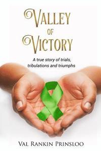 bokomslag Valley of Victory: A true story of trials, tribulations and triumphs