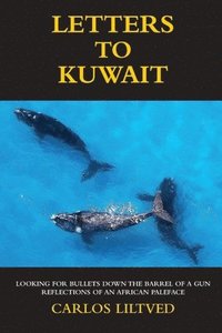 bokomslag Letters to Kuwait: Reflections of an African Paleface.