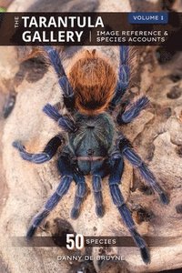 bokomslag The Tarantula Gallery: Image Reference & Species Accounts